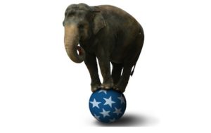 fil conservatism 300x189 Amerikan politikasında conservatism nedir? Conservativeler kimlerdir? 