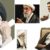 iranian-leaders